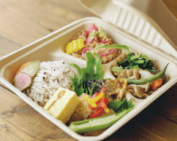 日替わりのお弁当2